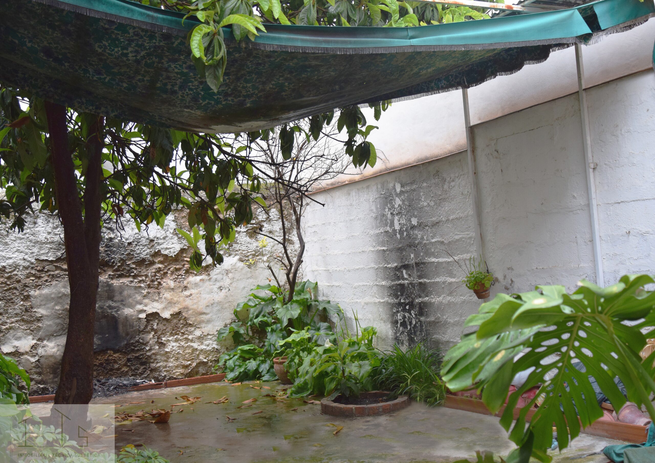 Vivienda unifamiliar entre medianeras en C/Catedrático Alcalá Santaella - Imagen 14