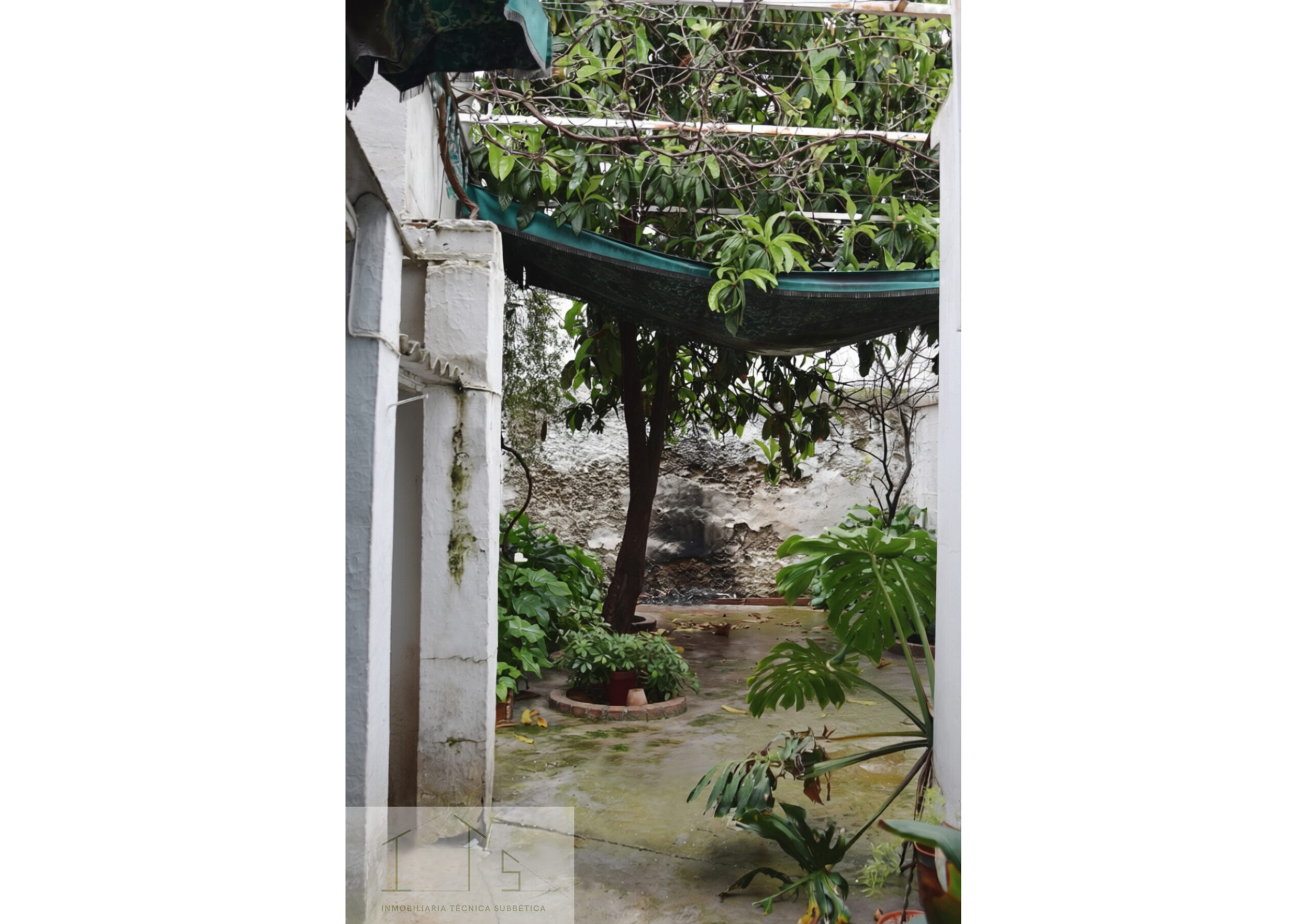 Vivienda unifamiliar entre medianeras en C/Catedrático Alcalá Santaella - Imagen 13