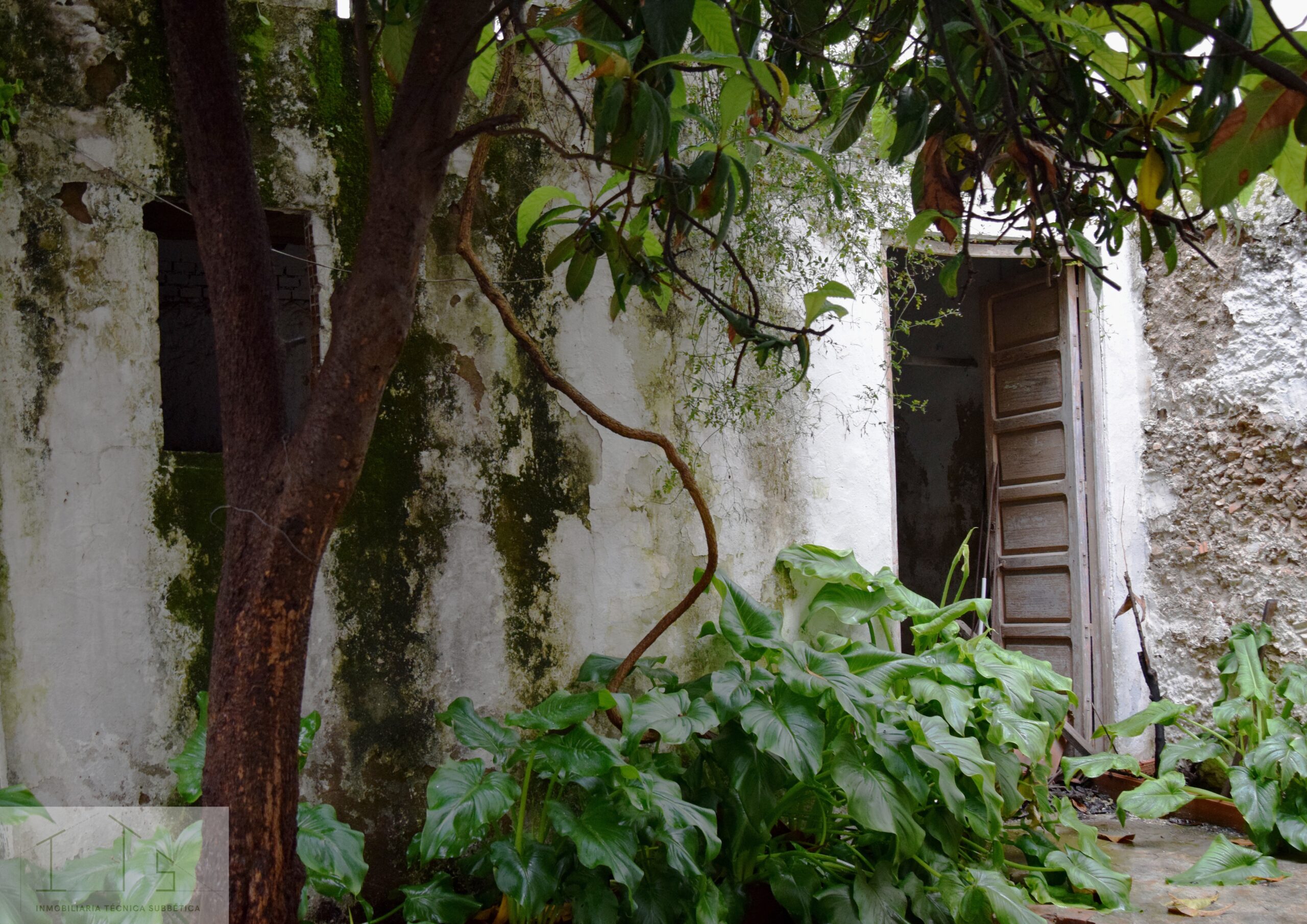 Vivienda unifamiliar entre medianeras en C/Catedrático Alcalá Santaella - Imagen 18